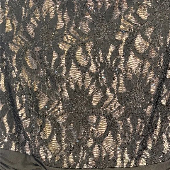 DressBarn Collection Elegant Black Lace Evening Dress - Picture 3 of 14